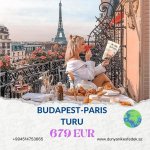 Bal ayı turları